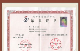 全國自考本科會(huì )計