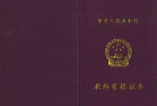 考教師資格證還是自考本科