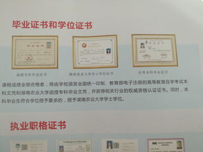 大專(zhuān)文憑與自考本科文憑哪個(gè)好