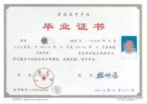 自考本科在全日制專(zhuān)科以上嗎