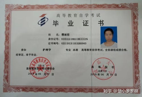 成都大學(xué)自考本科成績(jì)那么查