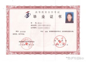 本科在校生自考本科