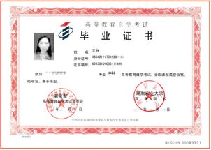 湖南工業(yè)大學(xué)全日制自考本科文憑