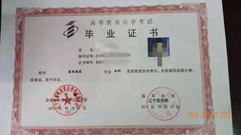 自考本科需要學(xué)什么學(xué)科