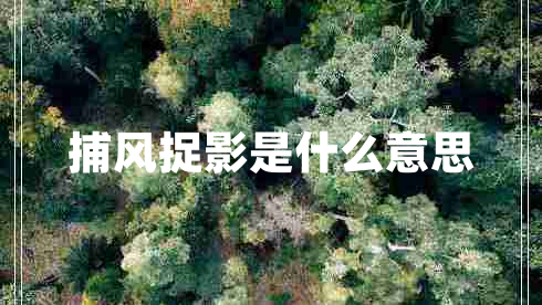 捕風(fēng)捉影是什么意思