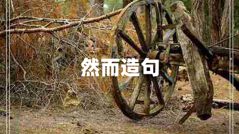 然而造句 然而造句