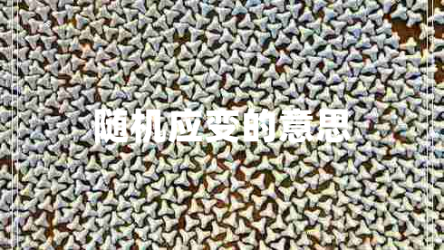 隨機應變的意思