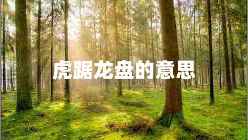 虎踞龍盤(pán)的意思