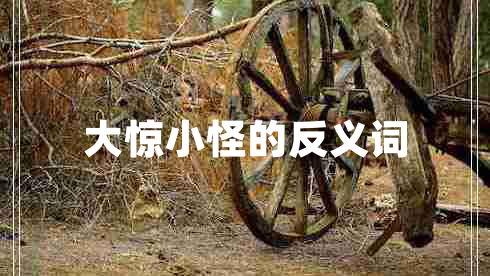 大驚小怪的反義詞