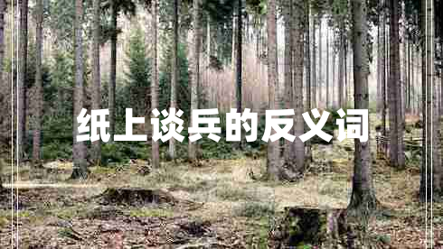 紙上談兵的反義詞