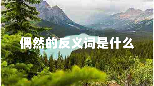 偶然的反義詞是什么