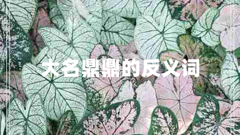 大名鼎鼎的反義詞