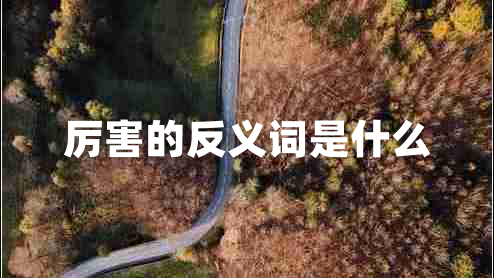 厲害的反義詞是什么