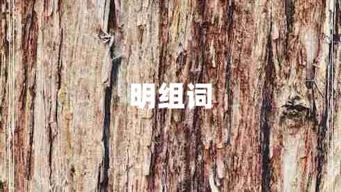 明組詞