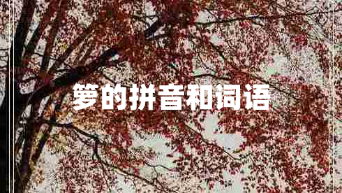 籮的拼音和詞語(yǔ)