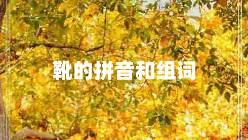 靴的拼音和組詞