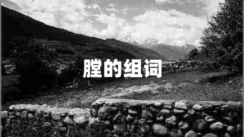 膛的組詞 膛的組詞