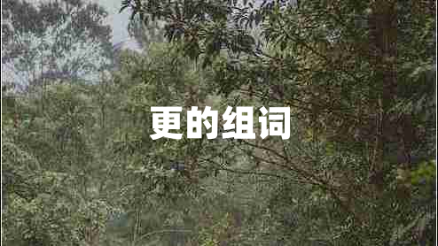 更的組詞