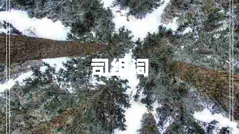 司組詞