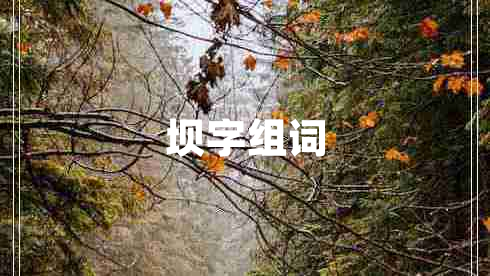 壩字組詞 壩字組詞