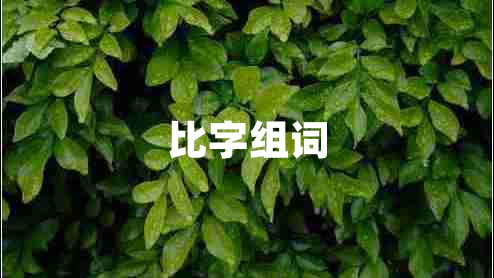 比字組詞