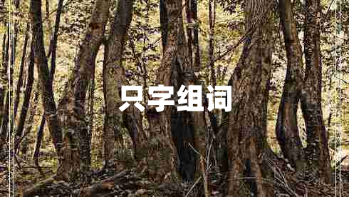 只字組詞 只字組詞