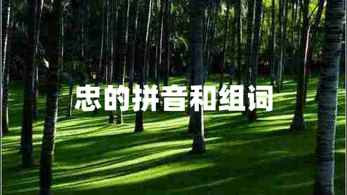 忠的拼音和組詞