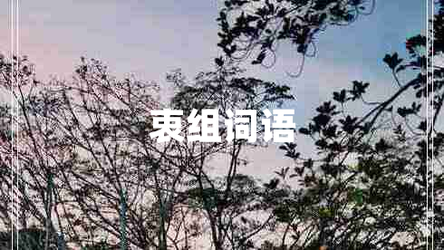 衷組詞語(yǔ) 衷組詞語(yǔ)