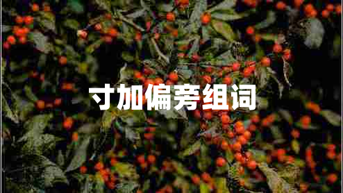 寸加偏旁組詞