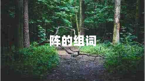 陣的組詞 陣的組詞