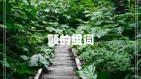 顫的組詞 顫的組詞