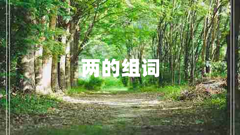 兩的組詞 兩的組詞