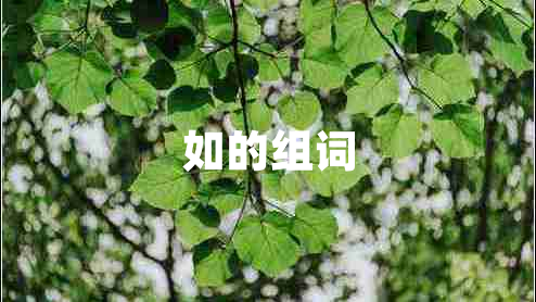如的組詞
