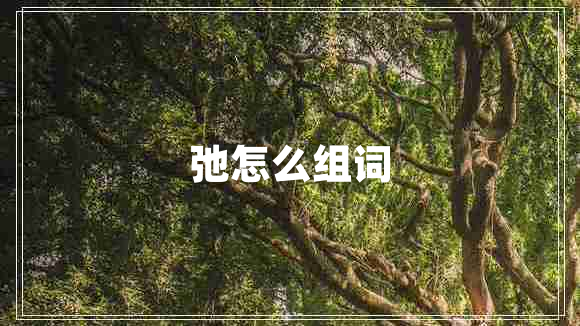 弛怎么組詞 弛怎么組詞