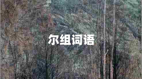 爾組詞語(yǔ)