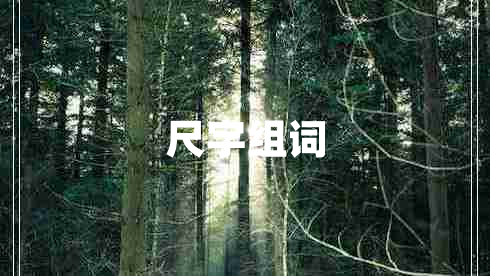 尺字組詞 尺字組詞