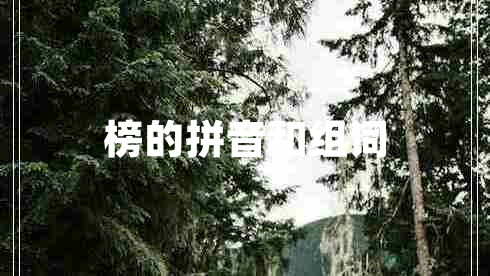 榜的拼音和組詞