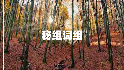 秘組詞組