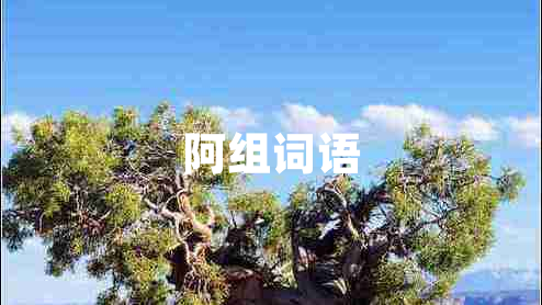 阿組詞語(yǔ)