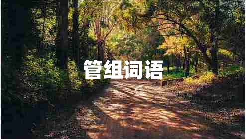 管組詞語(yǔ)