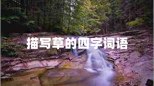 描寫(xiě)草的四字詞語(yǔ)
