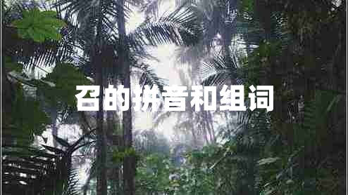 召的拼音和組詞