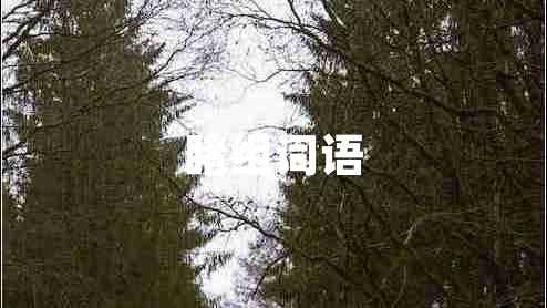 睹組詞語(yǔ)