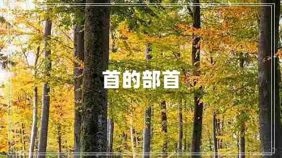 首的部首 首的部首