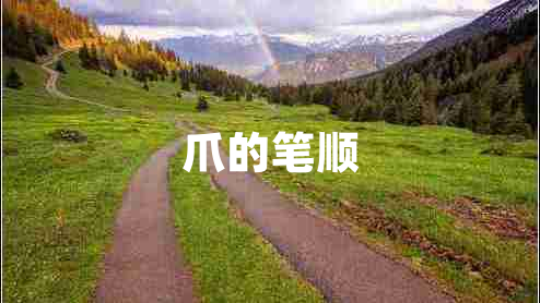 爪的筆順 爪的筆順