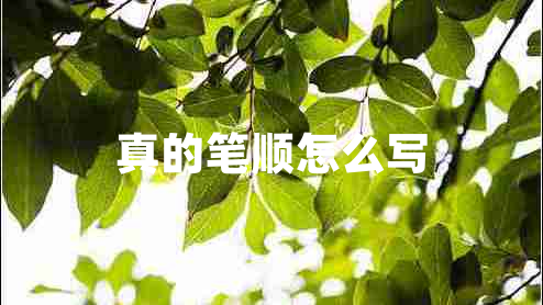 真的筆順怎么寫(xiě)