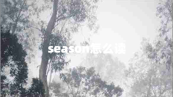 season怎么讀 season怎么讀