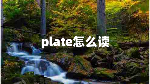 plate怎么讀