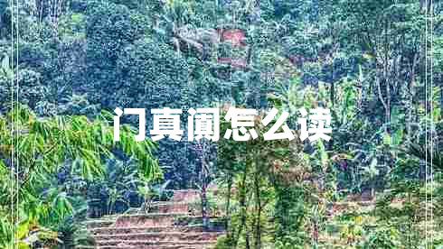 門(mén)真闐怎么讀