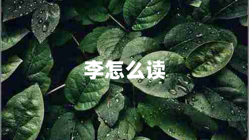 李怎么讀